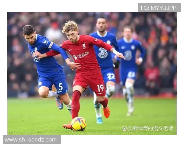 南京篮球队速度之争引发热议球迷观点各异引发讨论